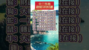 十二生肖迎接9月好運 #生肖  #運勢  #玄學 #風水