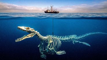 Морские существа, ставящие под сомнение наше понимание жизни