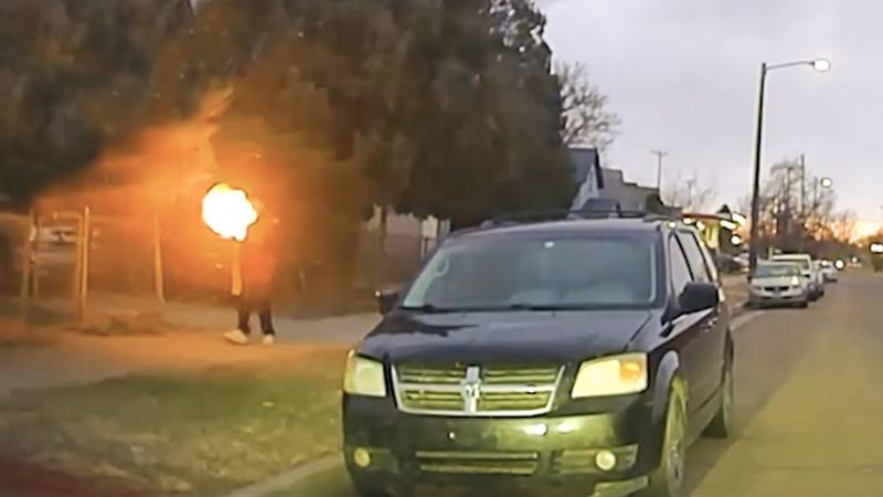 Два загнанных Зверя/Огонь на Поражение