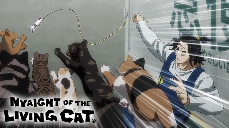 Have You Ever Seen a Hype Cat Playing Action Scene? | Nyaight of the Living Cat