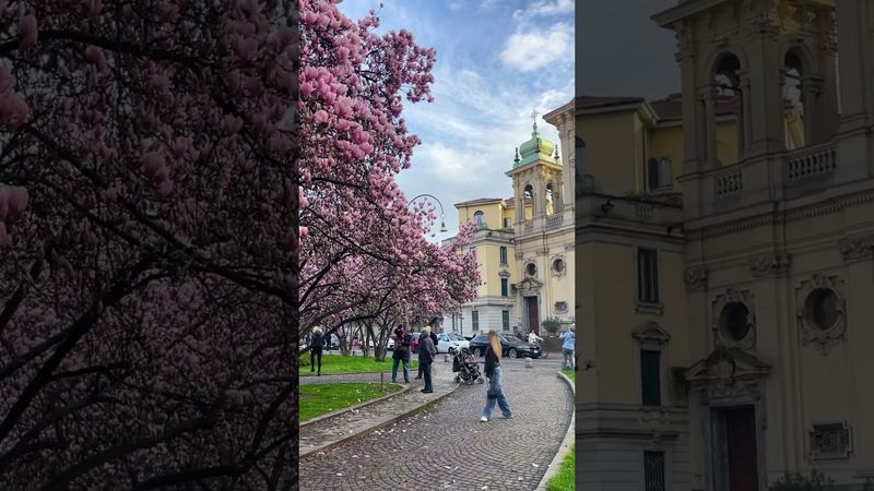 Italy🇮🇹#shorts