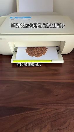 TikTok video #7598782570272230674