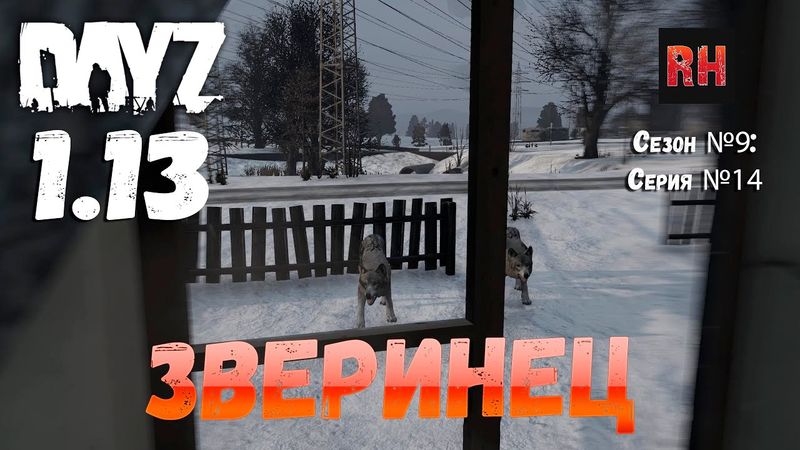 DayZ 1.13 Сервер Predators Hardcore: Сезон №9 , серия №14 - Зверинец! [2К]