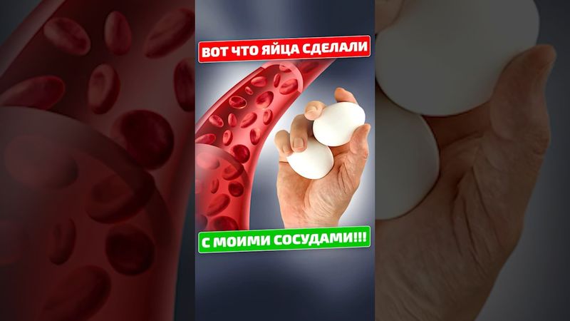 Вот как ЯЙЦА влияют на КРОВЬ и СОСУДЫ!