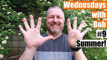 Wednesdays with Bob #9 - Summer - June 20 2020