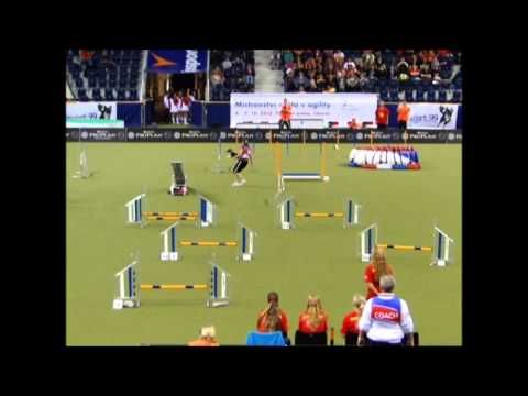 AS 36 Polina Soloveva & Adrenalina (Russia) - Agility Ind Small - AWC 2012