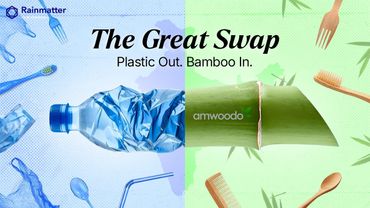 How Bamboo Challenges the Plastic and Construction Industries for a Climate-friendly alternative.