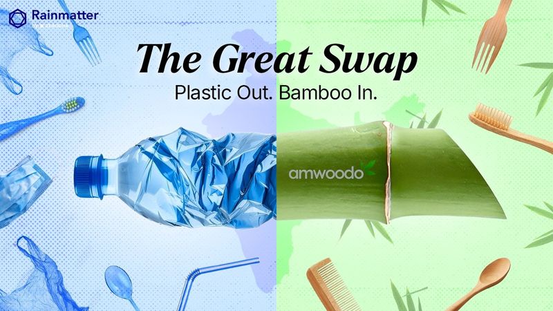 How Bamboo Challenges the Plastic and Construction Industries for a Climate-friendly alternative.