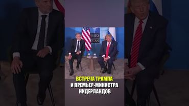 Кадры встречи президента США Дональда Трампа и премьер-министра Нидерландов Дика Схофа