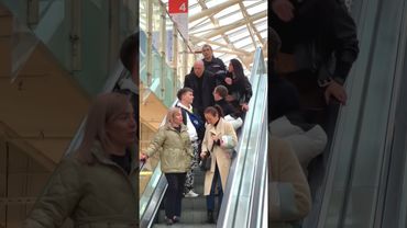 Мотреархад @dariashuer