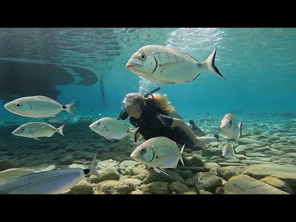 Discover Bodrum’s eco-luxury side: golf resorts, gulet yoga cruises and underwater adventures