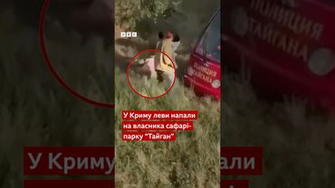 У Криму леви напали на власника сафарі-парку #shorts #крим #тайган #новини