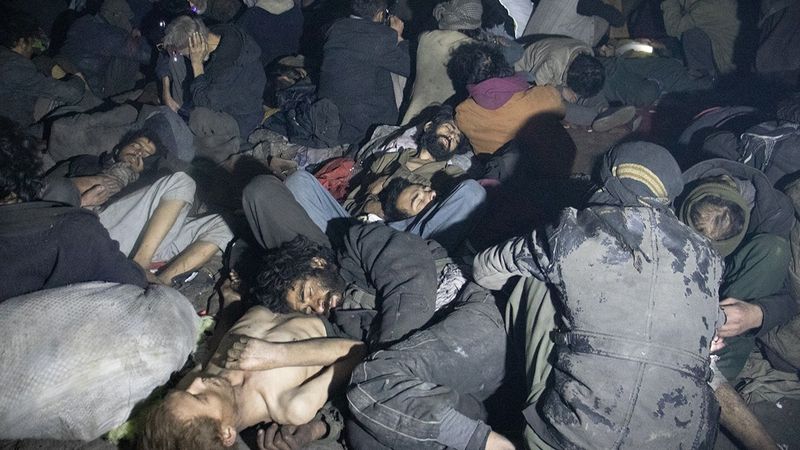 Зомби Афганистана: Даже собаки стали зависимыми