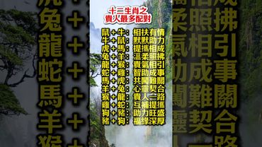 十二生肖之貴人最多配對！#生肖  #運勢  #玄學 #風水