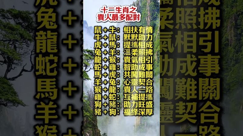 十二生肖之貴人最多配對！#生肖  #運勢  #玄學 #風水