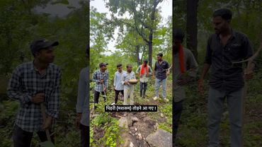 पिहरी (मशरूम) तोड़ने आ गए !