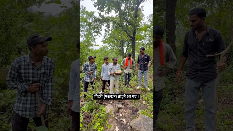 पिहरी (मशरूम) तोड़ने आ गए !