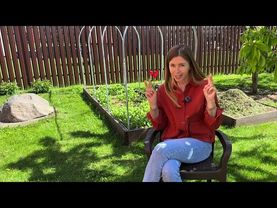 МУЛЬЧИРОВАНИЕ СКОШЕННОЙ ТРАВОЙ: не всё так просто. Как использовать правильно