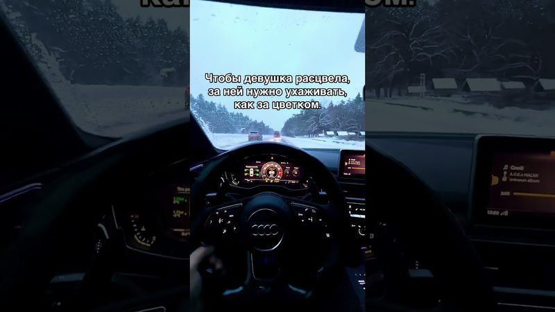 Хочешь Авто Из США?  Наш ТГК: https://t.me/smrtauto #automobile #audi #мем #rs5 #юмор