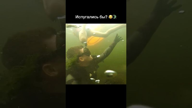 Стремно было бы?) #рыбалка #спиннинг #карась #карп #щука #судак #окунь #фидер #спінінг #рыбак