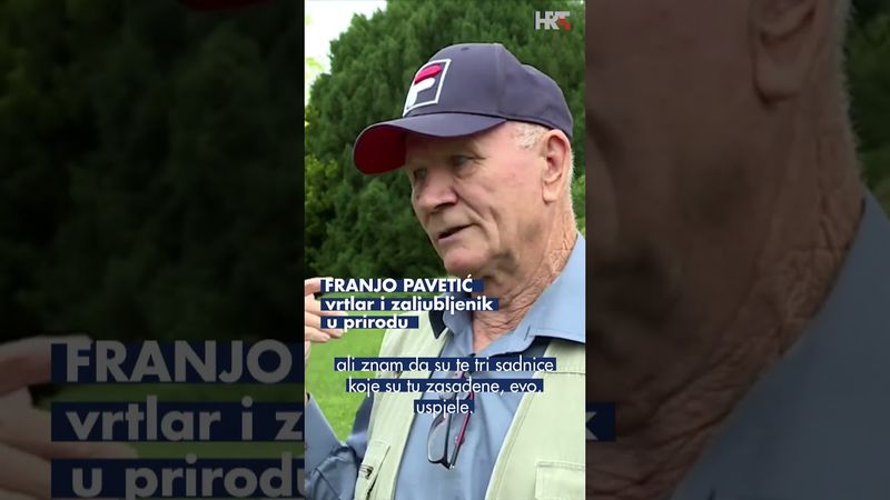 🌳 Varaždinci biraju stablo godine u gradu bogate hortikulturne baštine