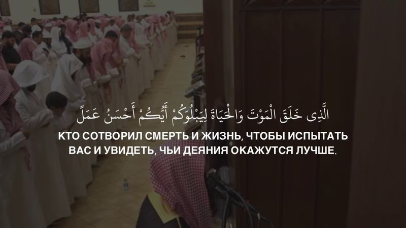 Мухаммад аль Люхайдан | Сура «Аль Мульк»