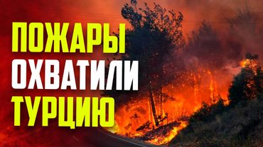 С лесного пожара в турецкой Сакарье огонь перекинулся на эвакуированный район
