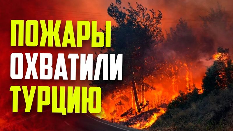 С лесного пожара в турецкой Сакарье огонь перекинулся на эвакуированный район