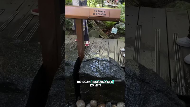 Вода камень точит 😮￼