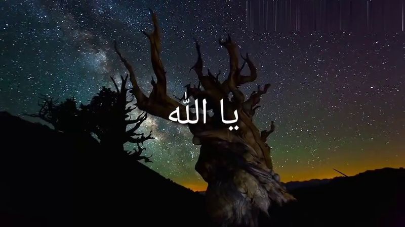 كلام مؤثر عن حسن الظن بالله| الشيخ خالد الراشد