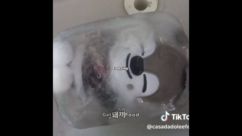 HORRIBLY INTRODUCING SKZOO💩✨️ || #straykids #skzoo