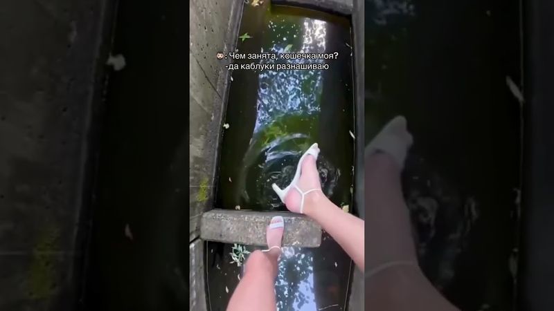 #мем #рекрек #рекомендации #юмористическийконтент