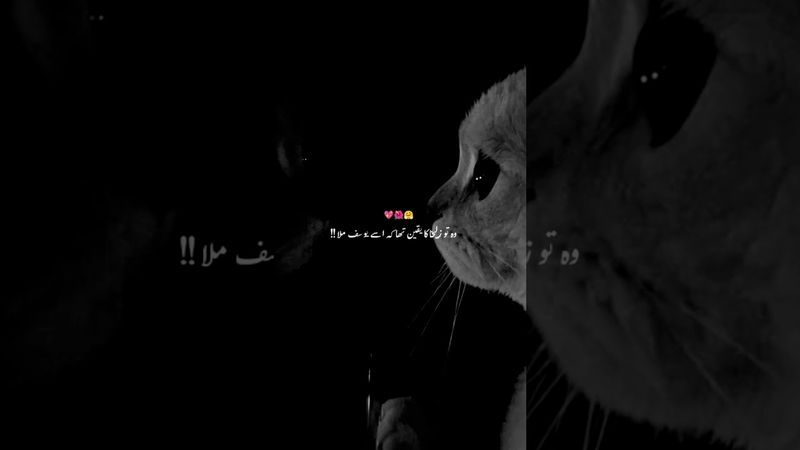 Alhamdulillah#youtubeshorts #islamicpoetry#