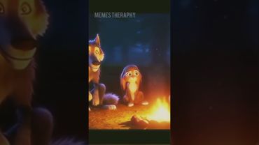 Хомяк точнов Китай не поедет😂 #смешно #шортс #тренды #shorts #смех #юмор #смешноевидео #video