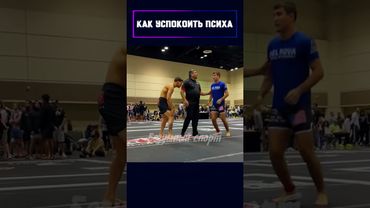 Лучший способ УСПОКОИТЬ дикаря! #shorts