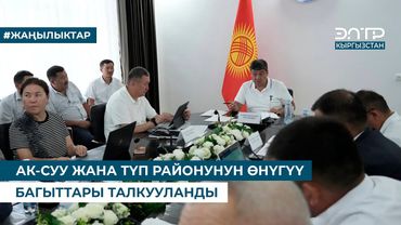 АК-СУУ ЖАНА ТҮП РАЙОНУНУН ӨНҮГҮҮ БАГЫТТАРЫ ТАЛКУУЛАНДЫ