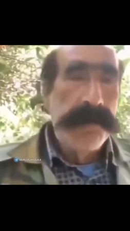 ангус?#шкафандрчеллендж #люблюотбивныеспюре #SteampodБудьРазной #моим...