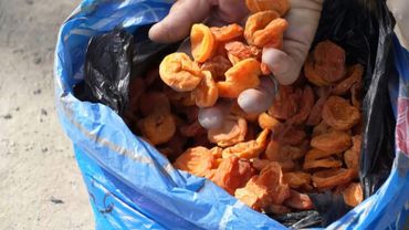 Tajikistan's apricot farmers grapple with climate change | AFP