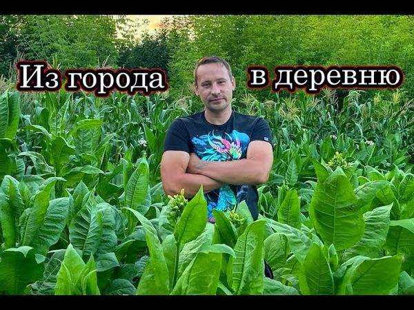 ОН БРОСИЛ ГОРОД УЕХАЛ ЖИТЬ В ДЕРЕВНЮ! Выращивает СТАРИННЫЕ СОРТА овощей, ЭКЗОТИЧЕСКИЕ деревья.