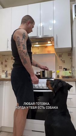 Вам в каком лаваше? #жизньссобакой #собакалучшийдругчеловека #доберма...