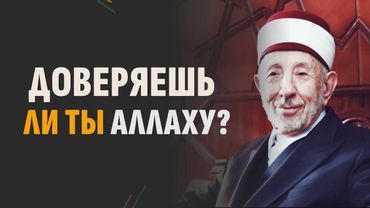 №46 Доверяешь ли ты Аллаху? | Смысл аскетизма | Очисти свои дела | Шейх Рамадан аль-Буты
