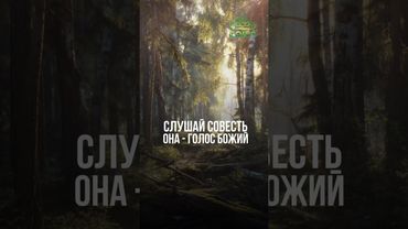 Совет дня: умей различать добро и зло