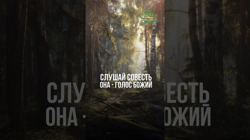 Совет дня: умей различать добро и зло