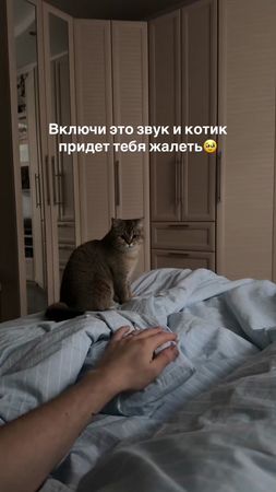У вас получилось?😌