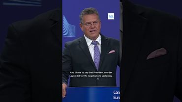 'Best we could get': Brussels defends EU-US trade deal amid mounting criticism