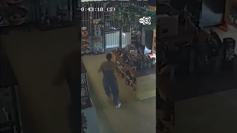 Police Impersonator Attempted Robbery