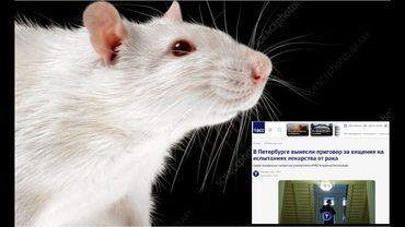 Мошенники в белых халатах. Системное жульничество в мировом масштабе