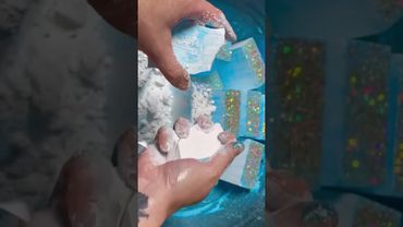 Blue Holi on Freshies 💙