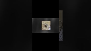 Самотність удвох не може уникнути загальної самотності.