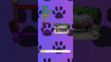 Попробуй назвать всех животных! #тест #животные #викторина #животное #квиз